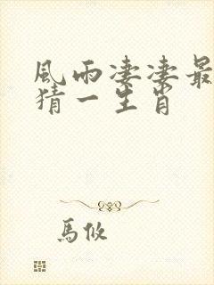 风雨凄凄最孤独猜一生肖