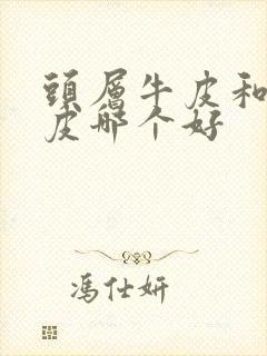 头层牛皮和纳帕皮哪个好