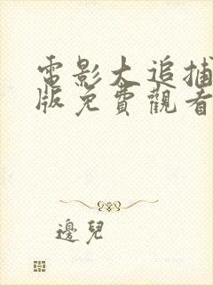 电影大追捕国语版免费观看封面