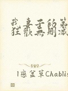 我妻子的第一次狂欢无删减版