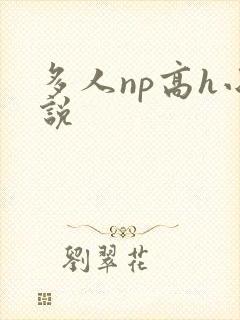 多人np高h小说封面
