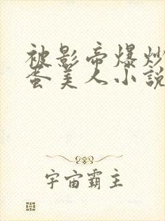 被影帝爆炒的笨蛋美人小说免费阅读封面