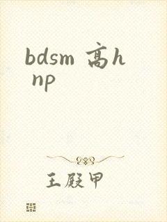 bdsm 高h np