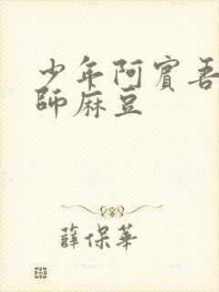 少年阿宾吾爱吾师麻豆封面