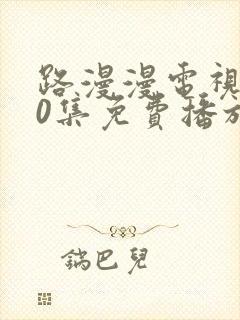 路漫漫电视剧40集免费播放