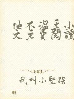 他不温柔小说全文免费阅读无弹窗