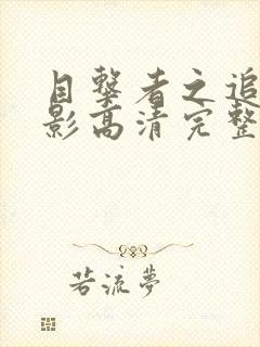 目击者之追凶电影高清完整免费观看