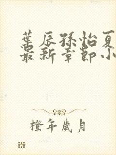 叶辰孙怡夏若雪最新章节小说心封面