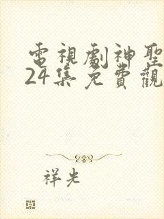 电视剧神圣使命24集免费观看封面