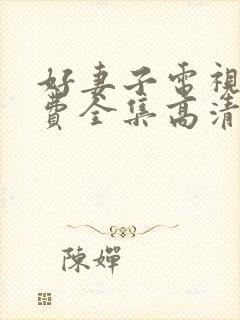 好妻子电视剧免费全集高清在线封面