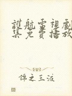 护航电视剧40集免费播放