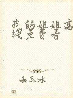 我的姐姐高清在线免费看封面