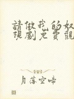 请做我的奴隶电视剧免费观看