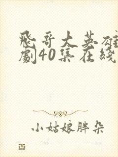 飞哥大英雄电视剧40集在线观看封面