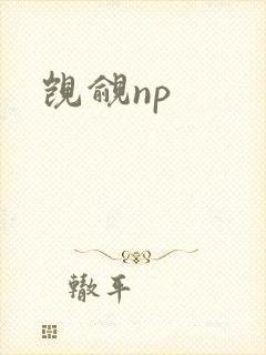 觊觎np