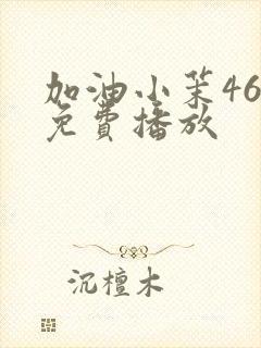 加油小茉46集免费播放