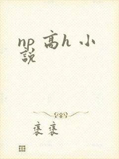 np 高h 小说
