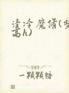 清冷魔修(双性高h)