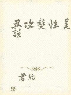 丑攻双性美人小说