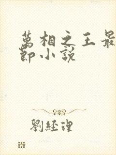 万相之王最新章节小说