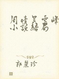 周晴吴云峰李磊小说结局封面