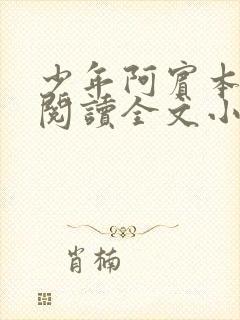 少年阿宾本全文阅读全文小说