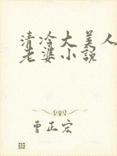 清冷大美人是我老婆小说