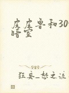 皮皮鲁和309暗室