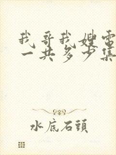 我哥我嫂电视剧一共多少集封面