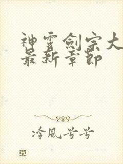 神霄剑宗大师兄最新章节