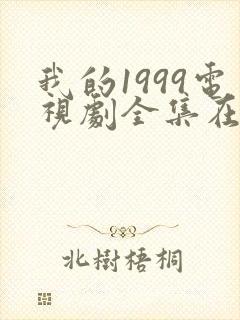 我的1999电视剧全集在线观看免费