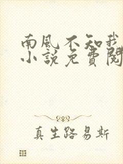 南风不知我爱你小说免费阅读txt