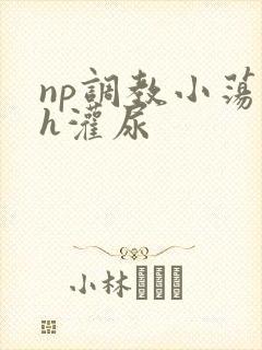 np调教小荡货h灌尿封面