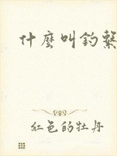 什么叫钓系美人