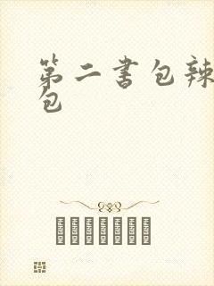 第二书包辣荷花包封面