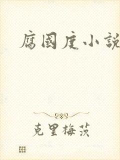 腐国度小说