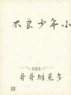 不良少年小说封面