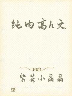 纯肉高h文
