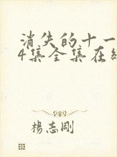 消失的十一层24集全集在线