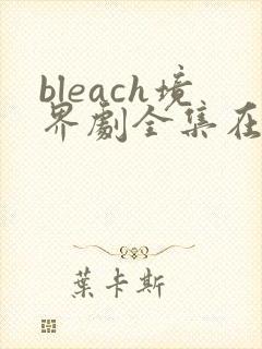 bleach境界剧全集在线观看免费版高清