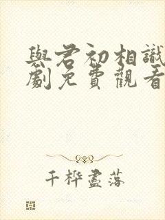 与君初相识电视剧免费观看31封面