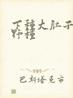 下种大肚子怀孕野种