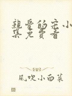 亲爱的宋小姐全集免费看