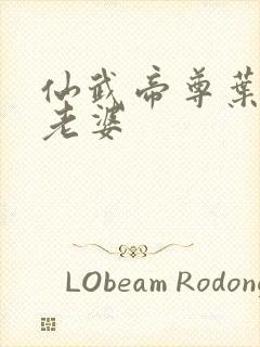 仙武帝尊叶辰的老婆封面