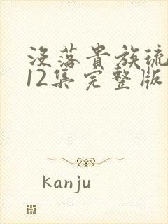 没落贵族琉璃川12集完整版封面