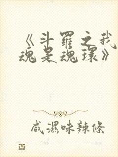 《斗罗之我的武魂是魂环》