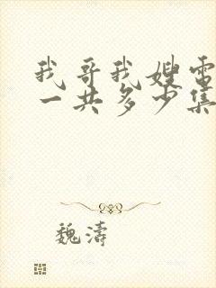 我哥我嫂电视剧一共多少集