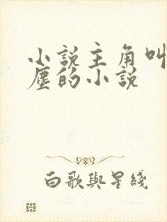 小说主角叫李沐尘的小说