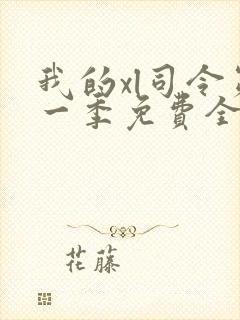 我的xl司令第一季免费全集在线观看封面