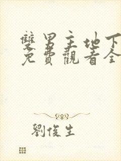 双男主地下偶像免费观看全集动漫